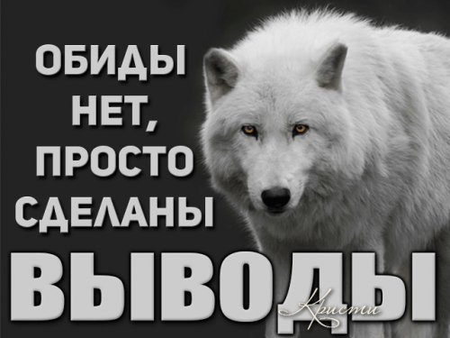 picture_213668767