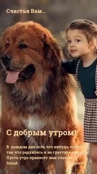 Счастья вам