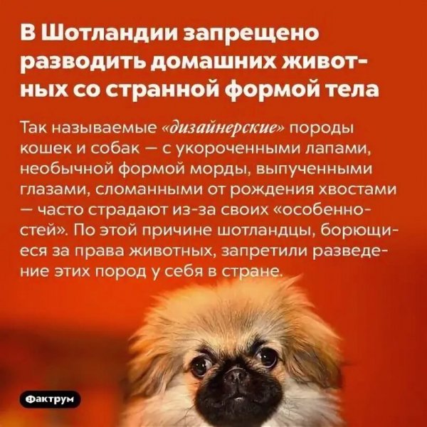 Это интересно