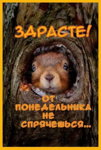 IMG 20261019 124113 262