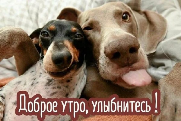 Улыбнитесь!