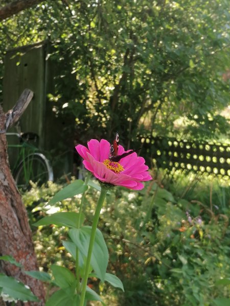 IMG 20240821 153903