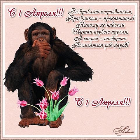 image(42)