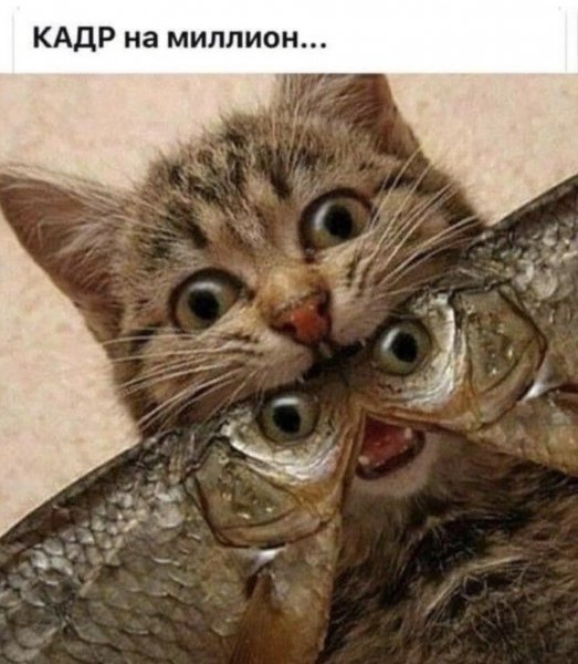 Да! ))
