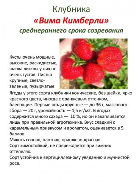 Для нашего сада