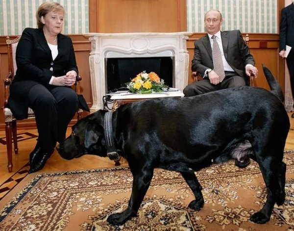 Путин и Меркель