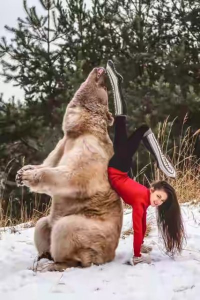 С медведем 2