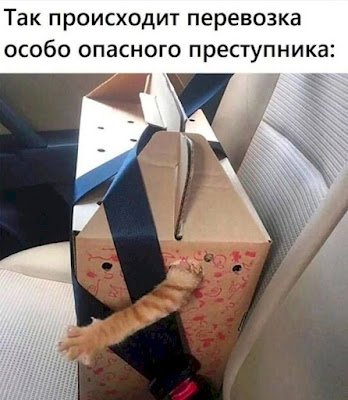 picture_418769272