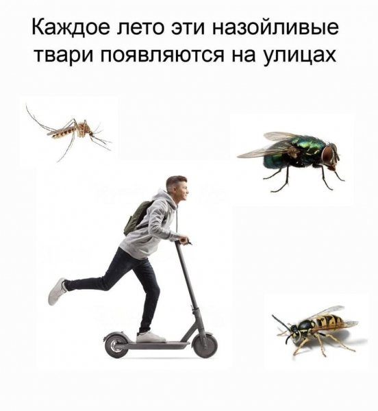10-02