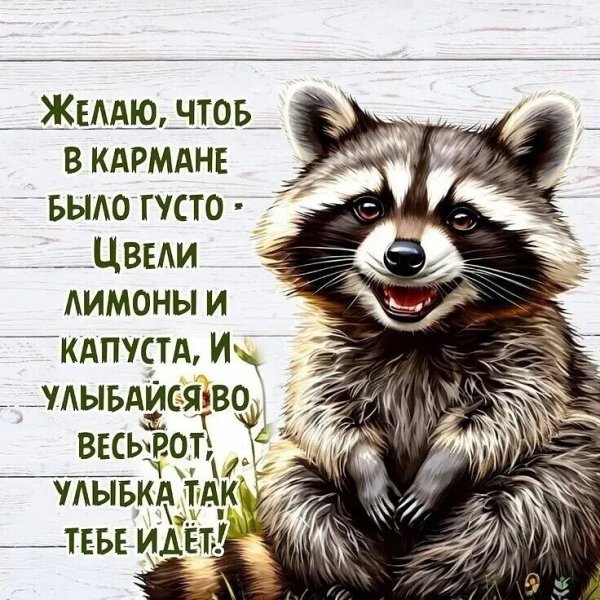IMG 20250828 192911