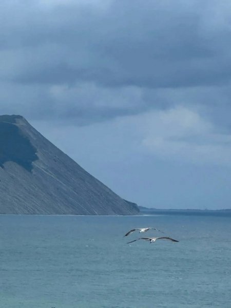 Анапа. Чайки над морем