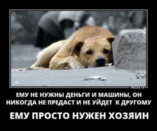 Все верно!