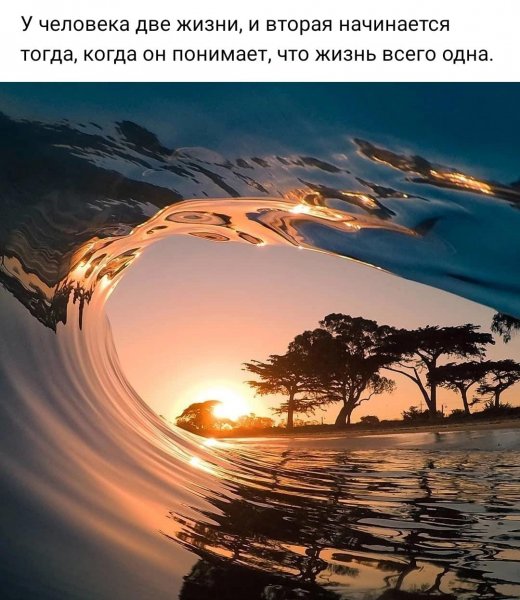 IMG-20220518-WA0023