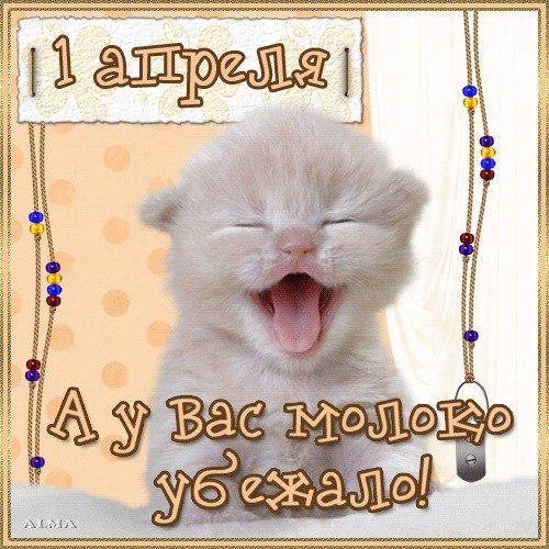 tLU7xBkCu2Q