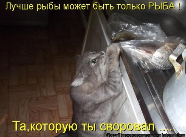 А то!. . . ))