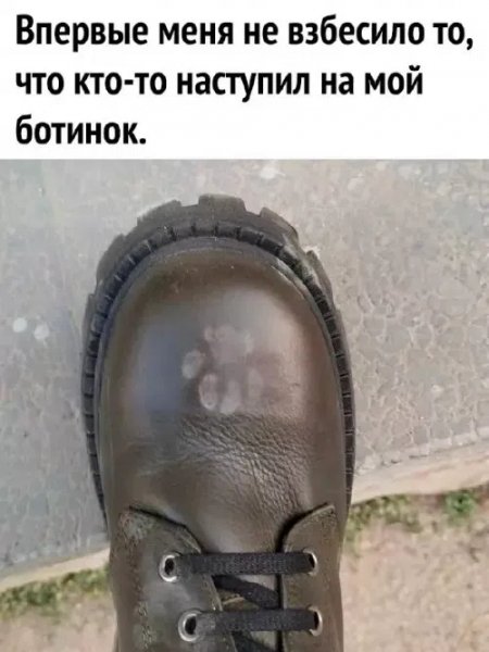 Vtsk0WuN49OnCi