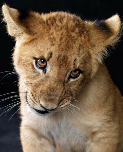 image (3) - 2020-08-18T214344. 466