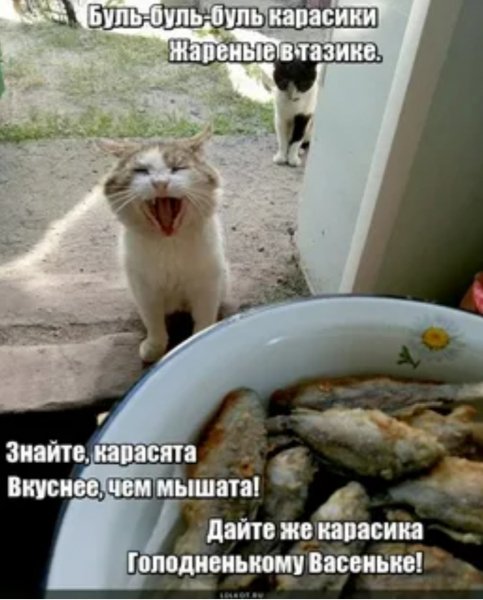 Жареные в тазике