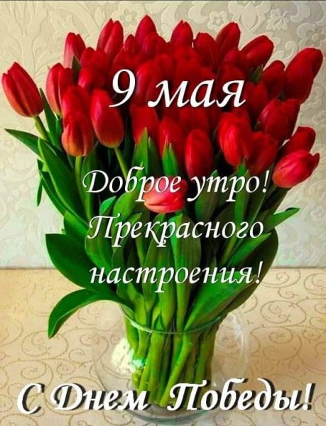 IMG-20210509-WA0001