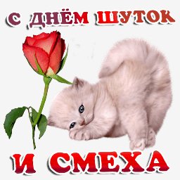 getImage(433)