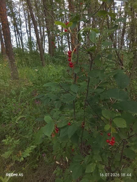 picture_419012971