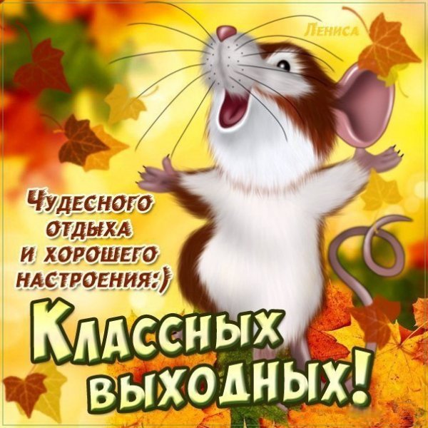 Cwc4hjL9J0w