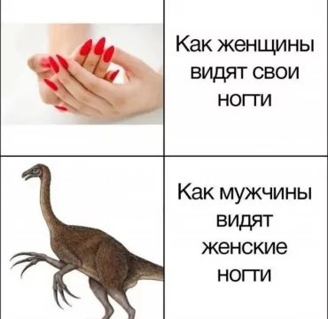 f. 0. 360. 0