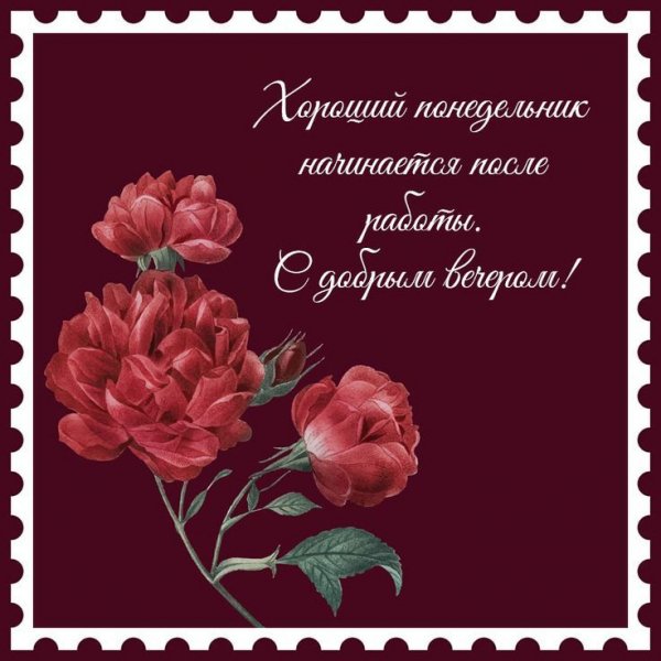 Друзья мои!