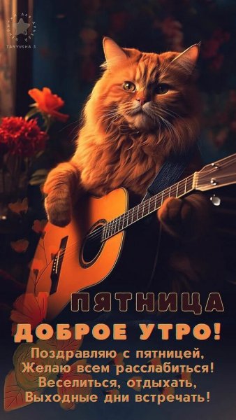 Доброе утро!