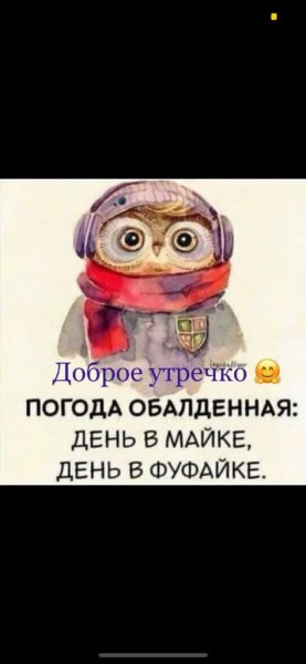 IMG-20220517-WA0002