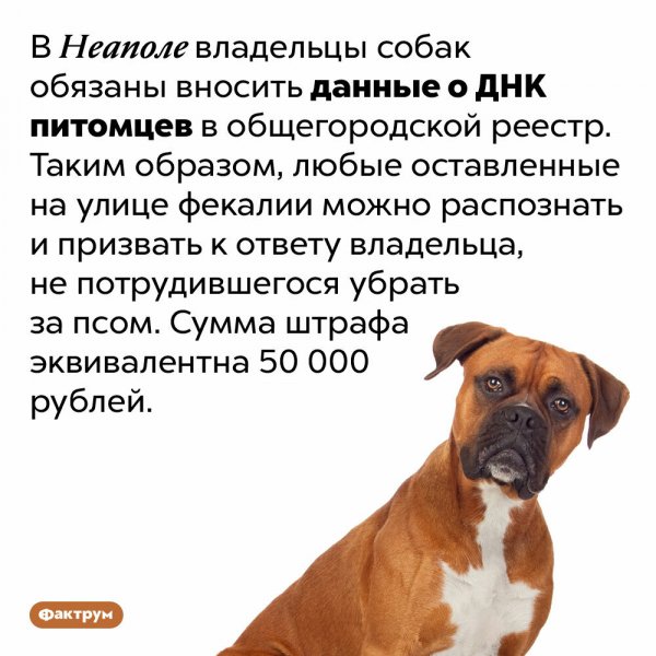 Это интересно