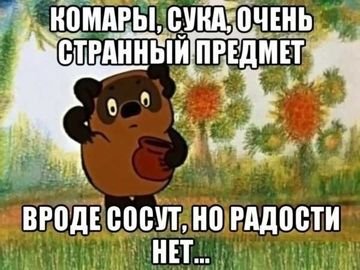 picture_82897648