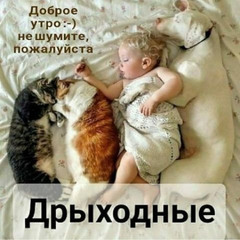 Выходные