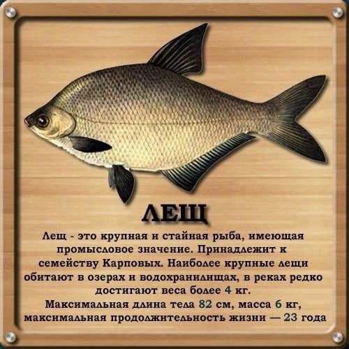Лещ