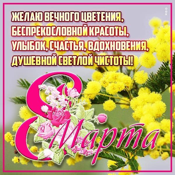 IMG-20230308-WA0047