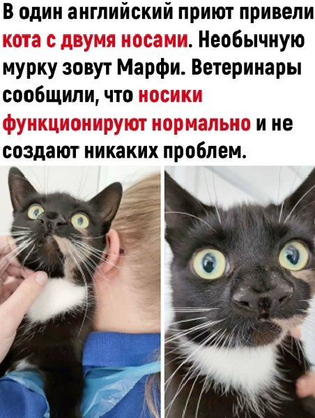 Никаких проблем