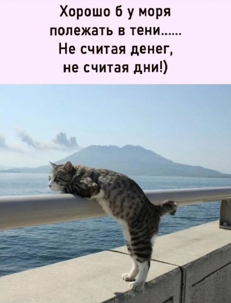 Эх, ма. . . ))