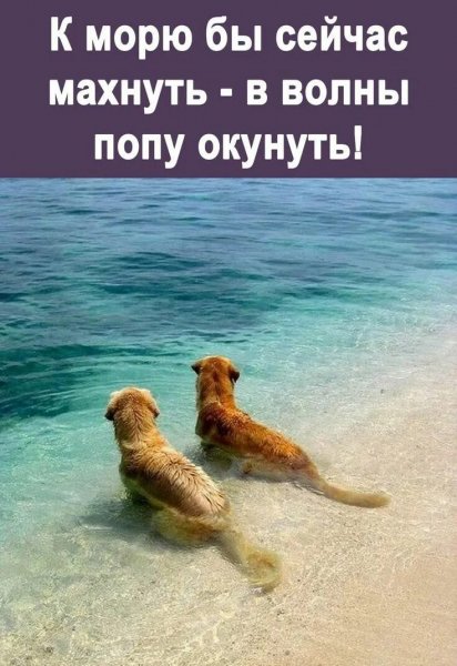 Да! ))