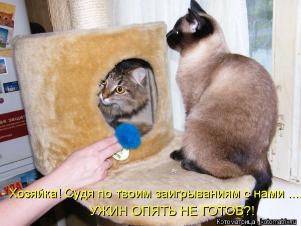 Опять не готов?!