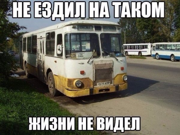 Жиза