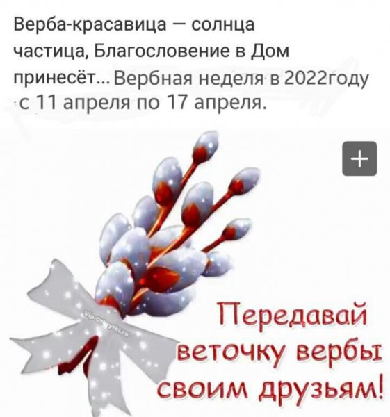 IMG-20220411-WA0009