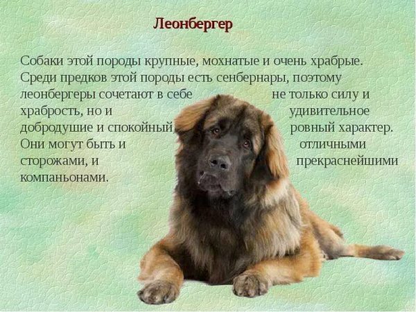 Файл #413053538