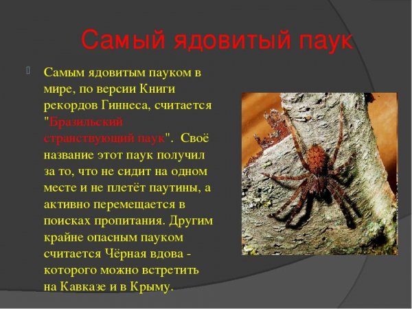 Это надо знать