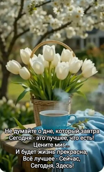 Друзья мои!