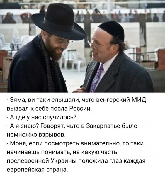 IMG 20260517 055123