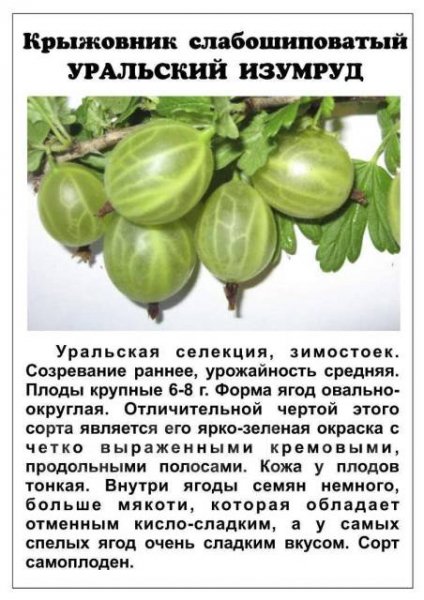 Для нашего сада