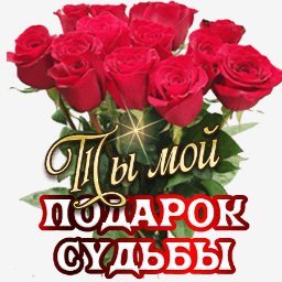 розы