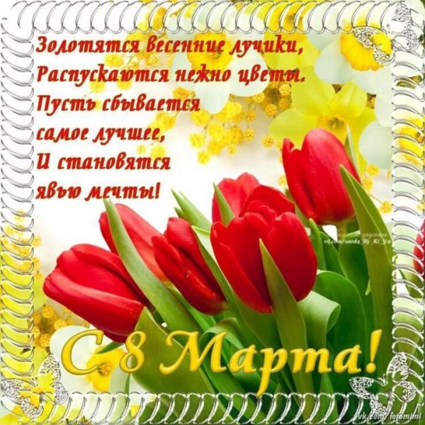 IMG-20230308-WA0061