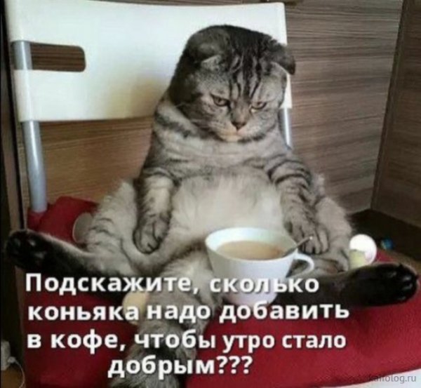 picture_246997470
