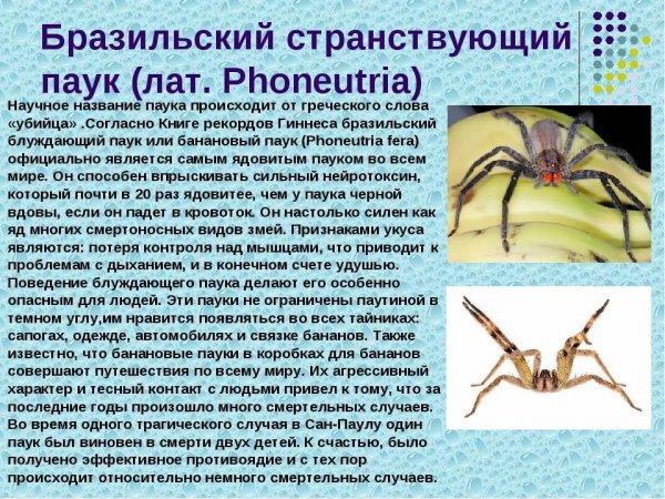 Бразильский